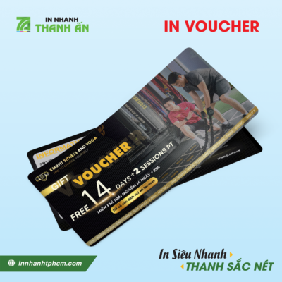 Mẫu 15