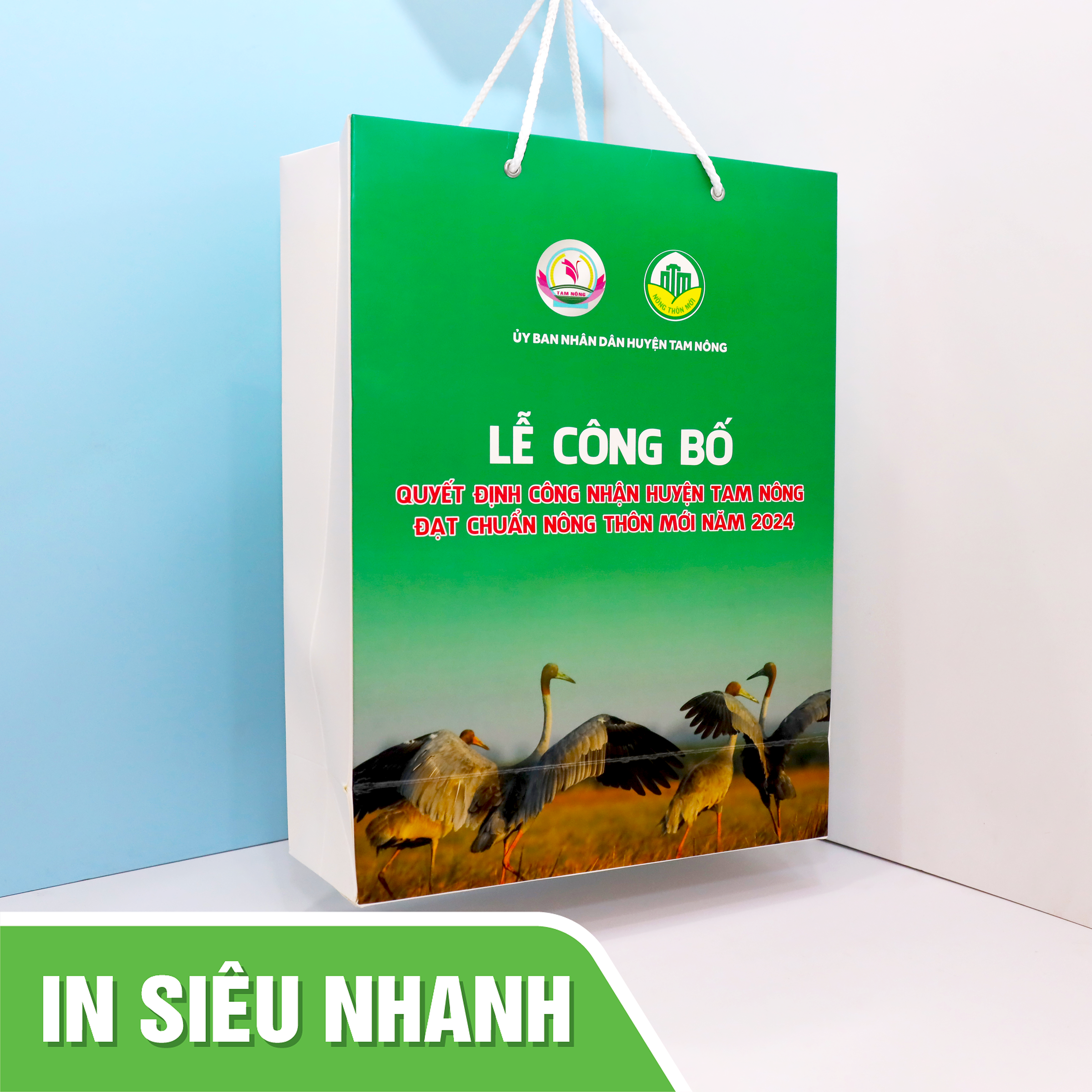 IN TÚI GIẤY GIÁ RẺ TPHCM - IN NHANH TOP 1 KHU VỰC in túi giấy giá rẻ